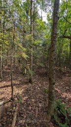 LOT 1 ON-17 / TRANS CANADA HIGHWAY Plummer Additional Ontario photo 5