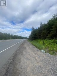 LOT 1 ON-17 / TRANS CANADA HIGHWAY Plummer Additional Ontario photo 6