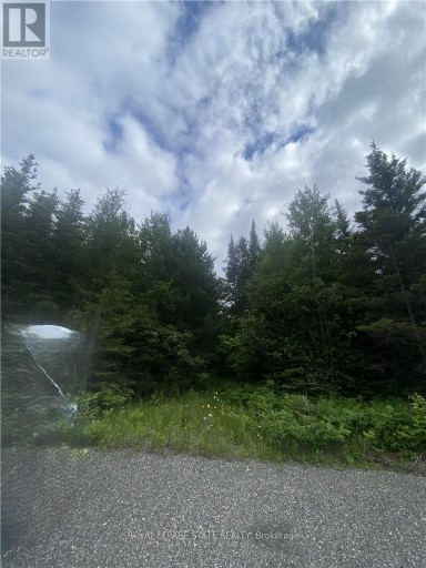 LOT 1 ON-17 / TRANS CANADA HIGHWAY, Plummer Additional, Ontario, P0R1C0