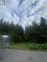 LOT 1 ON-17 / TRANS CANADA HIGHWAY Plummer Additional Ontario photo 8