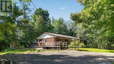 3743 DUMMER ASPHODEL ROAD Asphodel-Norwood Ontario photo 6