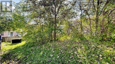 24 - 25 GOSFORD BOULEVARD Toronto (Black Creek) Ontario photo 42