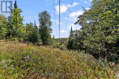 834 HYBLA ROAD Hastings Highlands (Monteagle Ward) Ontario photo 29