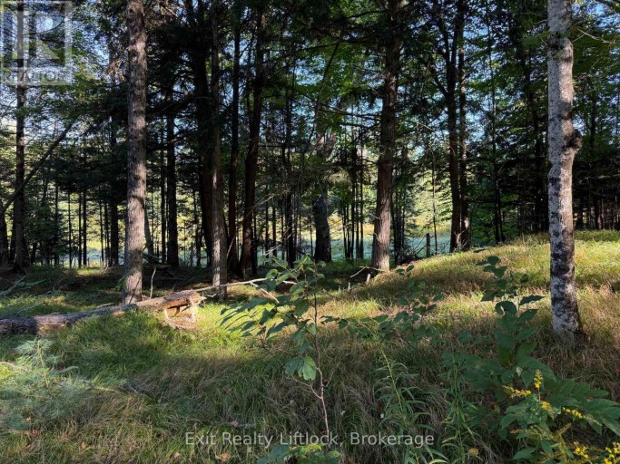 00 NEAR BANNOCKBURN RD. ROAD, Madoc, Ontario, K0K1Y0
