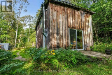 225 WHITE CHURCH ROAD Faraday Ontario photo 15