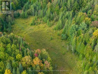 225 WHITE CHURCH ROAD Faraday Ontario photo 20