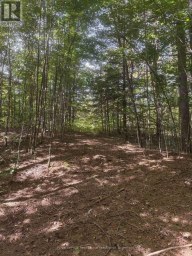 225 WHITE CHURCH ROAD Faraday Ontario photo 21