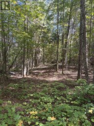 225 WHITE CHURCH ROAD Faraday Ontario photo 22