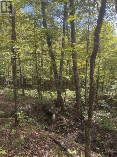225 WHITE CHURCH ROAD, Faraday, Ontario, K0L1P0