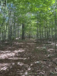 225 WHITE CHURCH ROAD Faraday Ontario photo 24