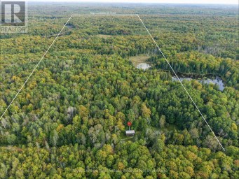 225 WHITE CHURCH ROAD Faraday Ontario photo 3