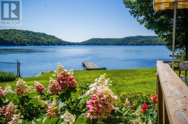 1066 & 1070 MAIN STREET Lake of Bays (Ridout) Ontario photo 8