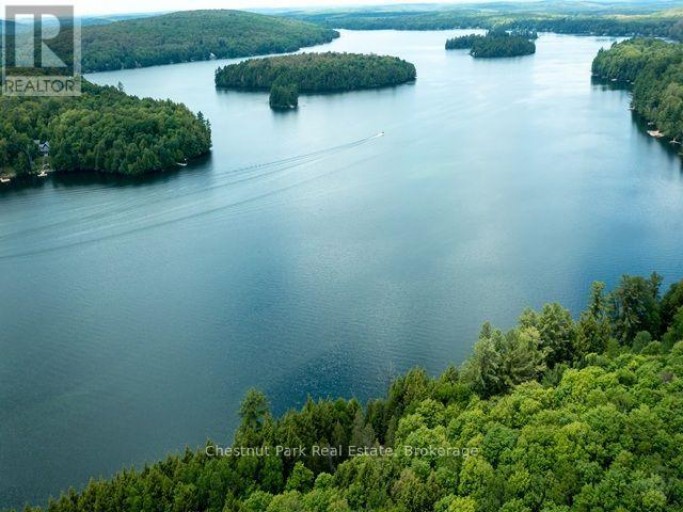 58 SKYLINE DRIVE, Armour (Katrine), Ontario, P0A1L0