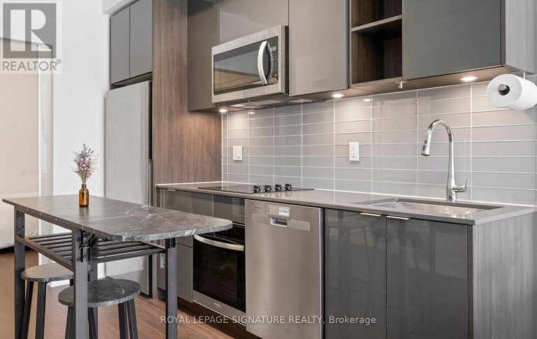 427 - 543 RICHMOND STREET W, Toronto (Waterfront Communities), Ontario, M5V0W9