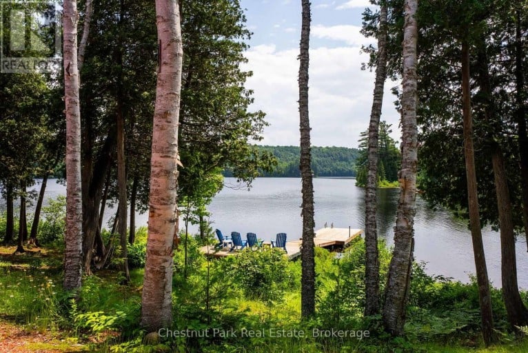 1136 SEVERN LANE, Algonquin Highlands (McClintock), Ontario, P0A1E0