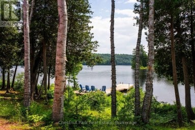 1136 SEVERN LANE Algonquin Highlands (McClintock) Ontario photo 45