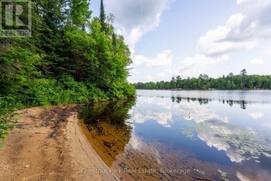 1136 SEVERN LANE Algonquin Highlands (McClintock) Ontario photo 5