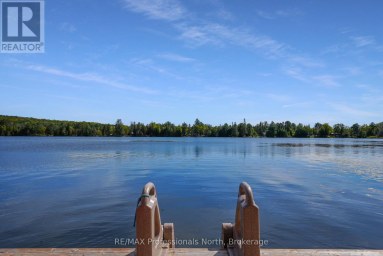 4318 GLAMORGAN ROAD Dysart et al (Dysart) Ontario photo 42