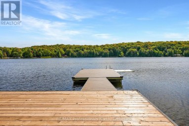 1025 CANFIELD LANE Minden Hills (Minden) Ontario photo 44