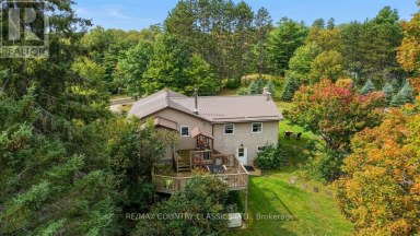 41 OLD L'AMABLE ROAD Bancroft (Dungannon Ward) Ontario photo 2