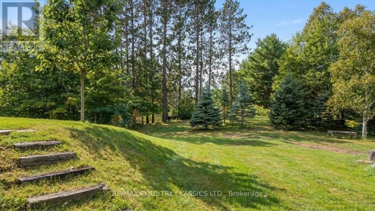 41 OLD L'AMABLE ROAD, Bancroft (Dungannon Ward), Ontario, K0L2L0