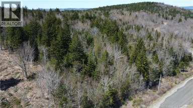 Highland Road Grand Bay-Westfield New Brunswick photo 6