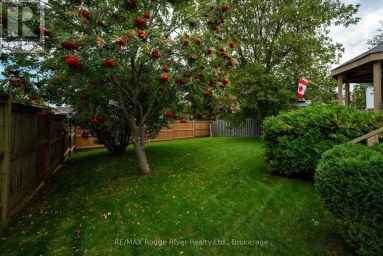792 GREER CRESCENT Cobourg Ontario photo 25