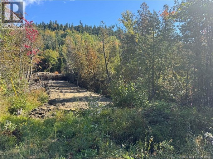 Frye Road, Chamcook, New Brunswick, E5B0C4