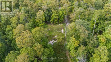 1914 KENNISIS LAKE ROAD Dysart et al (Guilford) Ontario photo 14