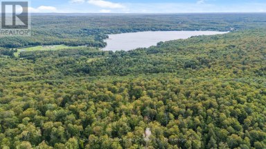 1914 KENNISIS LAKE ROAD Dysart et al (Guilford) Ontario photo 23