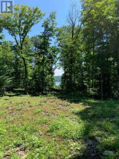 1914 KENNISIS LAKE ROAD, Dysart et al (Guilford), Ontario, K0M1S0