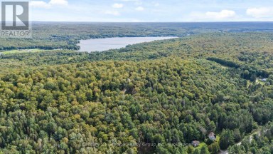 1914 KENNISIS LAKE ROAD Dysart et al (Guilford) Ontario photo 3