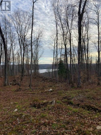 1914 KENNISIS LAKE ROAD, Dysart et al (Guilford), Ontario, K0M1S0
