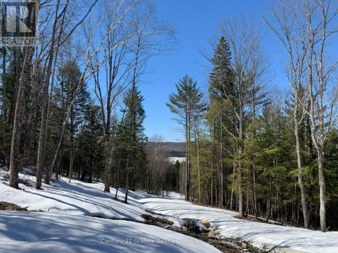 1914 KENNISIS LAKE ROAD, Dysart et al (Guilford), Ontario, K0M1S0