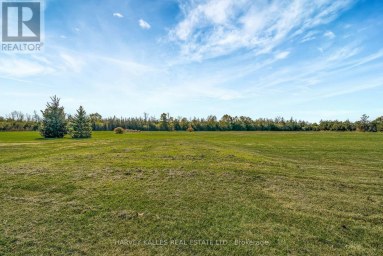 198 WELBANKS ROAD Prince Edward County (Athol Ward) Ontario photo 35