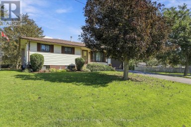 10 EMILY STREET N Kawartha Lakes (Omemee) Ontario photo 2