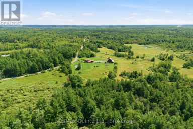 95 MOORES ROAD Tweed (Elzevir (Twp)) Ontario photo 44