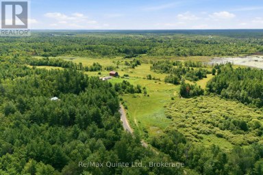 95 MOORES ROAD Tweed (Elzevir (Twp)) Ontario photo 45