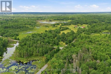 95 MOORES ROAD Tweed (Elzevir (Twp)) Ontario photo 47