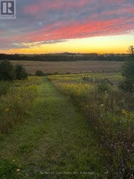 829 Peace Road, Kawartha Lakes (emily) Ontario