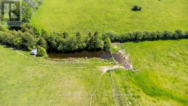 402 MOUNT HOREB ROAD Kawartha Lakes (Manvers) Ontario photo 46