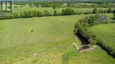 402 MOUNT HOREB ROAD Kawartha Lakes (Manvers) Ontario photo 47