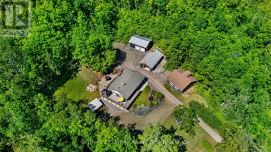 1790 COUNTY ROAD 40 Douro-Dummer Ontario photo 42