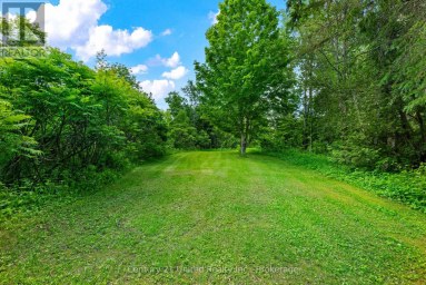 1790 COUNTY ROAD 40 Douro-Dummer Ontario photo 43