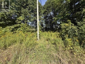 0 INGHAM ROAD (LOT 1 - WEST) Alnwick/Haldimand Ontario photo 1
