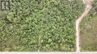 PT LT 80 GREY RD 124 GREY ROAD Grey Highlands Ontario photo 1