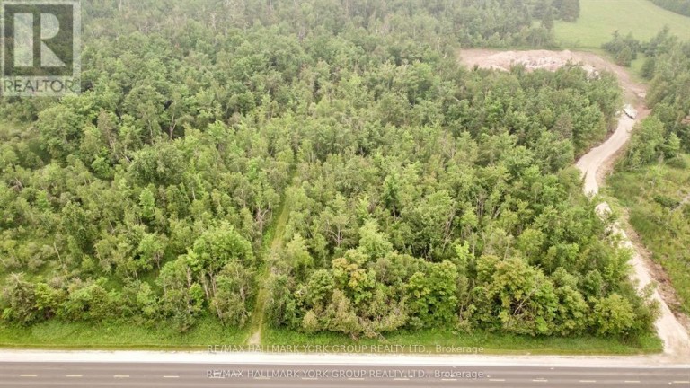 PT LT 80 GREY RD 124 GREY ROAD, Grey Highlands, Ontario, N0C1A0