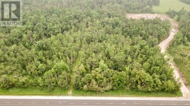 PT LT 80 GREY RD 124 GREY ROAD Grey Highlands Ontario photo 2