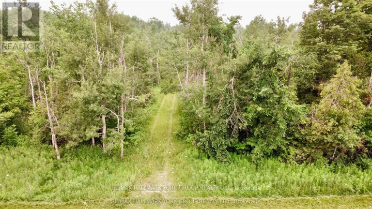 PT LT 80 GREY RD 124 GREY ROAD, Grey Highlands, Ontario, N0C1A0