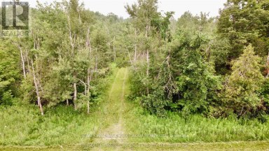 PT LT 80 GREY RD 124 GREY ROAD Grey Highlands Ontario photo 4
